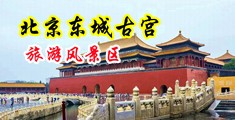 骚穴照片在线观看中国北京-东城古宫旅游风景区